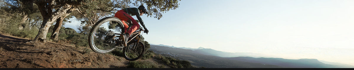 Μάρκα | ALPINESTARS