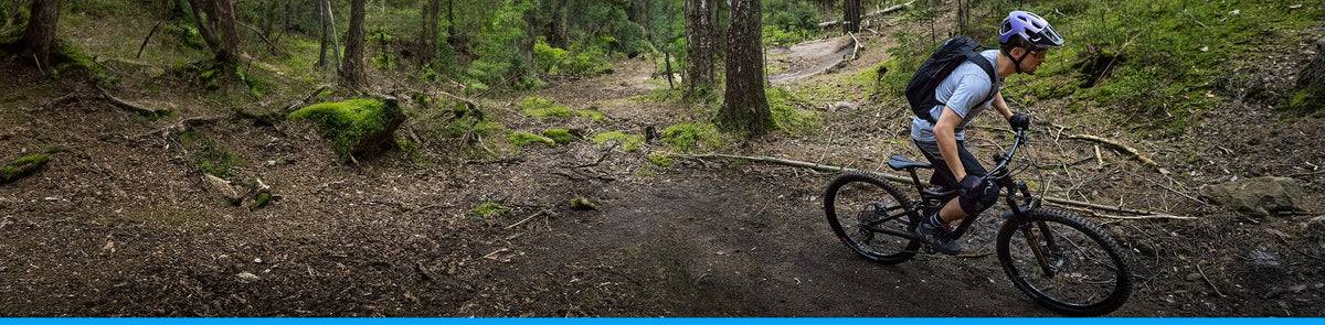 MTB-världen