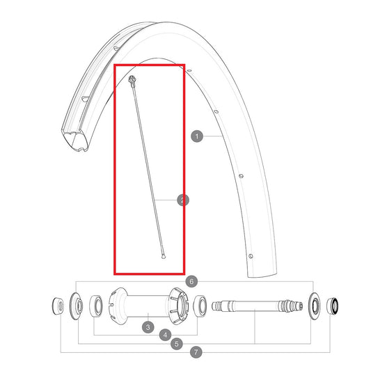 Kit 12 Ακτίνων Εμπρός/Πίσω MAVIC COSMIC PRO CARBON 260mm