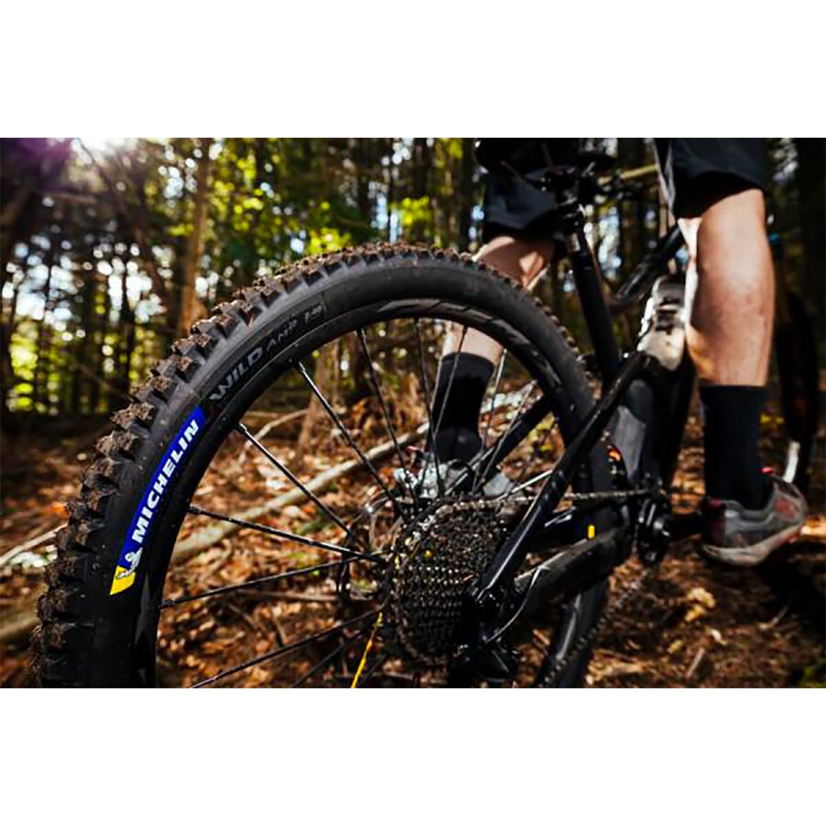 Dæk MICHELIN WILD AM2 Competition Line 29X2.40 Tubeless Ready Souple