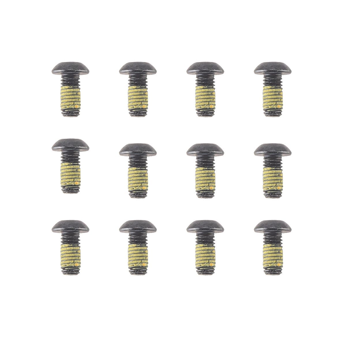 Kit van 12 stalen schroeven MAGURA voor schijf