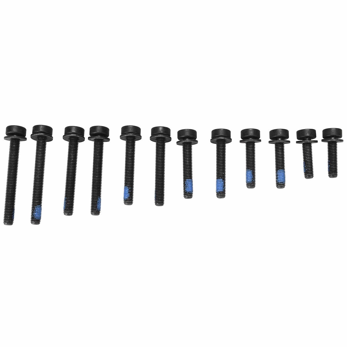 Set van 12 T25-schroeven MAGURA voor FlatMount-achterbevestiging