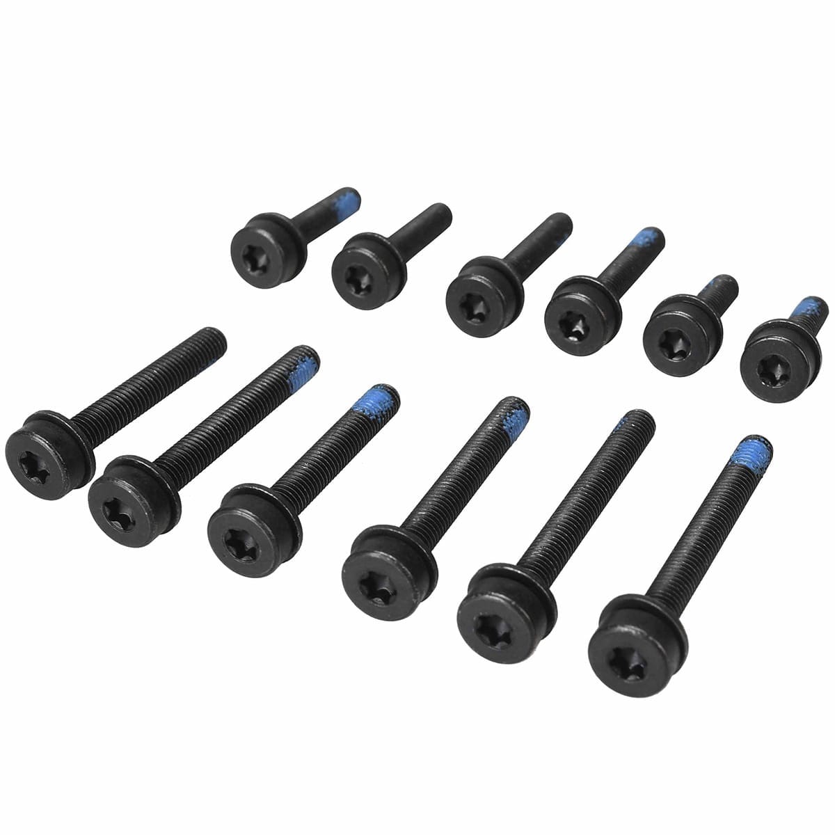 Set van 12 T25-schroeven MAGURA voor FlatMount-achterbevestiging