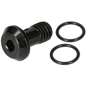 SHIMANO BR-M8100 O-Rõngaga Õhutuskruvi