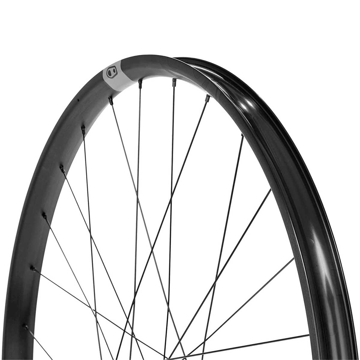 CRANKBROTHERS SYNTHESIS Enduro 29" 15x110 mm Boost Front Wheel
