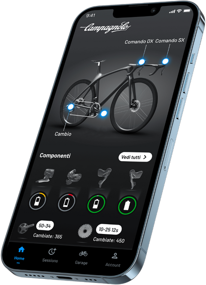 Sada CAMPAGNOLO SUPER RECORD WRL 2x12V