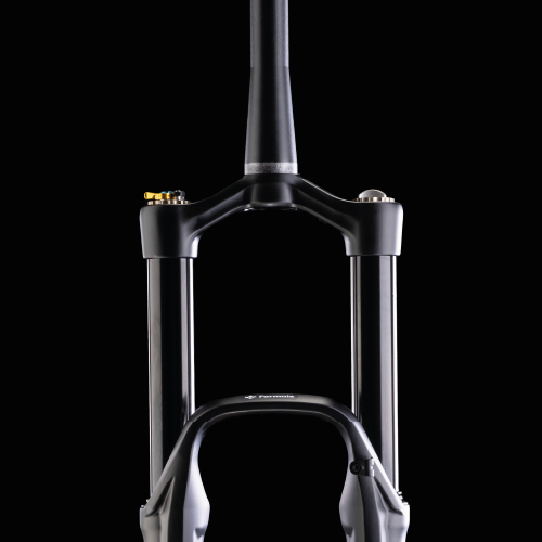 Gaffel FORMULA SELVA R 29" Aksel 15x110mm Boost Sort