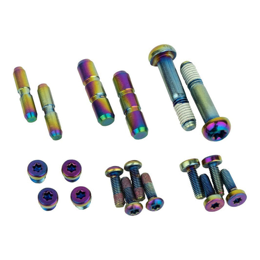 Zestaw śrub do dźwigni hamulców SRAM G2 RSC/ULTIMATE Upgrade Inox Rainbow