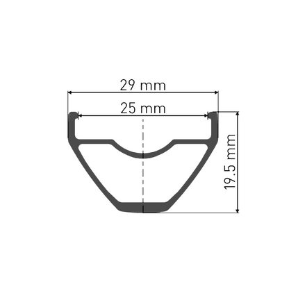Roue Avant DT SWISS X 1900 SPLINE 25 mm 29" 15x100 mm