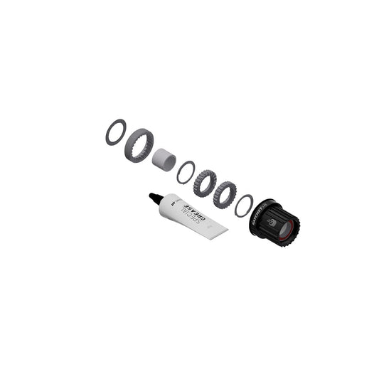Konverzní sada DT SWISS Ratchet LN MTB Shimano MicroSpline 12s Alu #HXYXXX00N3770S