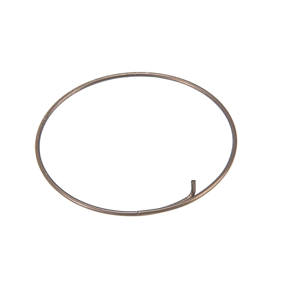 Springs for FULCRUM RACING Pawls (x5) #5-R1-015
