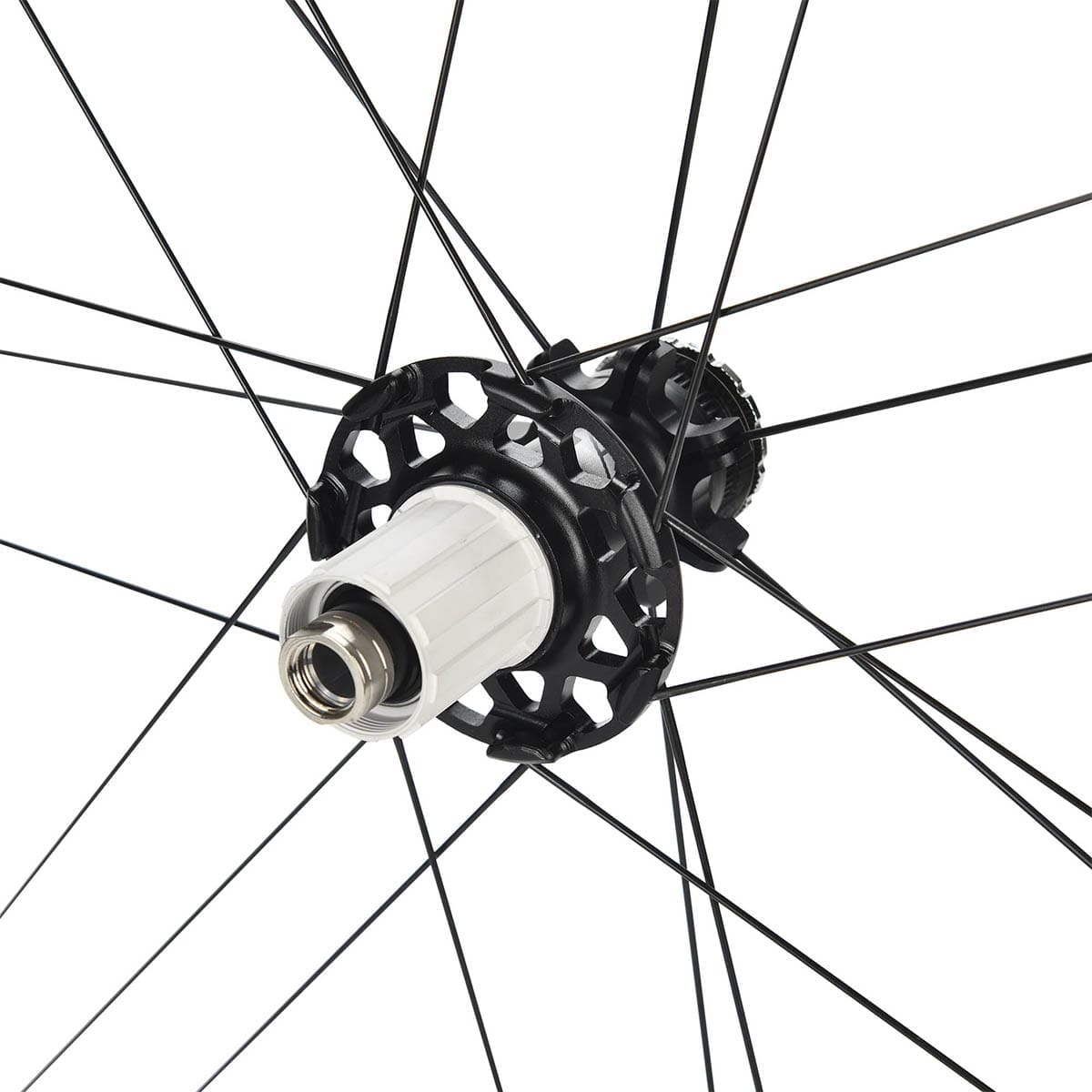 Pár kol CAMPAGNOLO ZONDA DISC Limitovaná edice na plášť (Center Lock)