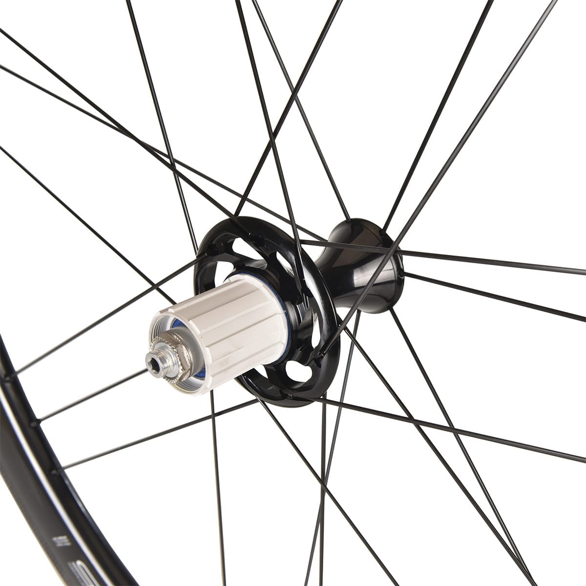Ζεύγος Τροχών CAMPAGNOLO BORA WTO 45 για Ελαστικά