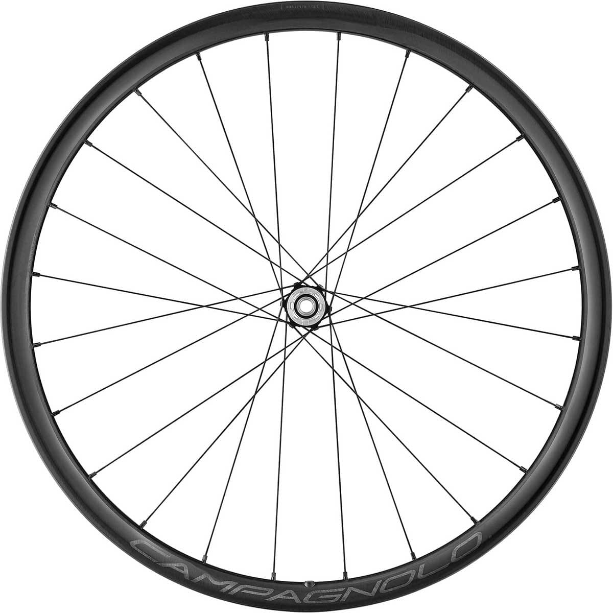 Pyöräpari CAMPAGNOLO LEVANTE 2-WAY FIT DISC 700c