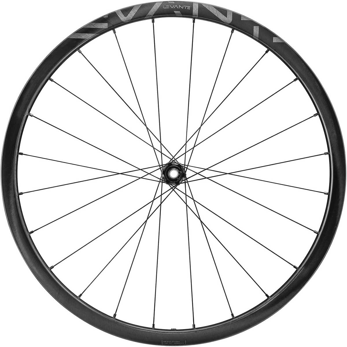 Pyöräpari CAMPAGNOLO LEVANTE 2-WAY FIT DISC 700c