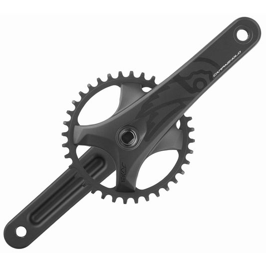 13-växlat vevparti CAMPAGNOLO EKAR GT
