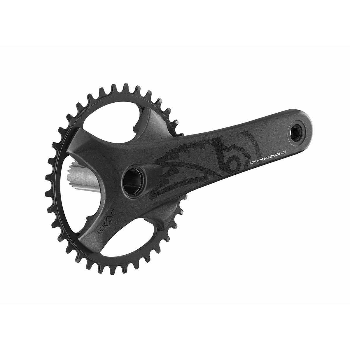 13V CAMPAGNOLO EKAR GT krankarm