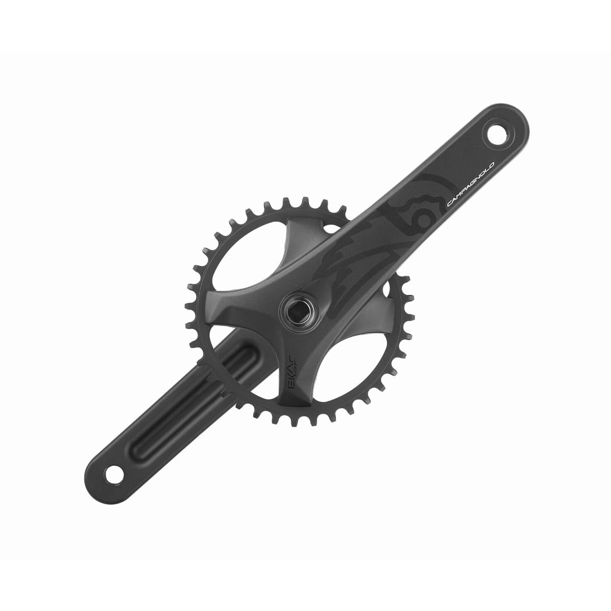 13V CAMPAGNOLO EKAR GT krankarm