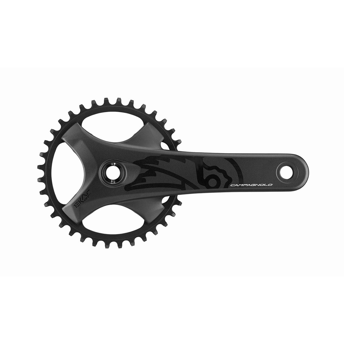 13V CAMPAGNOLO EKAR GT krankarm