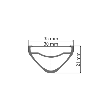 DT SWISS FR 541 29'' 30 mm -vanne hopea