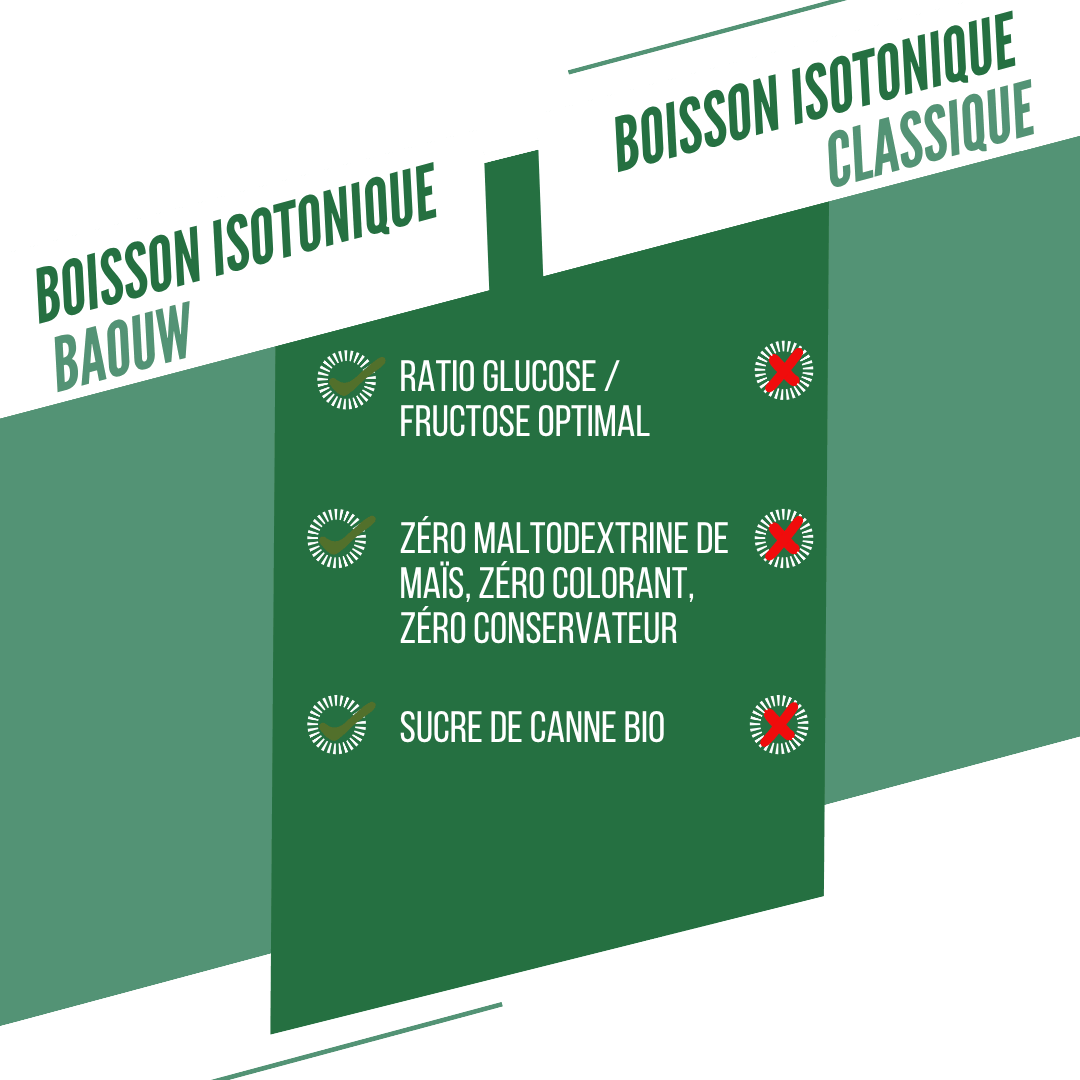 Ενεργειακό Ρόφημα BAOUW ISOTONIC (45g) Μέντα/Μελισσόχορτο