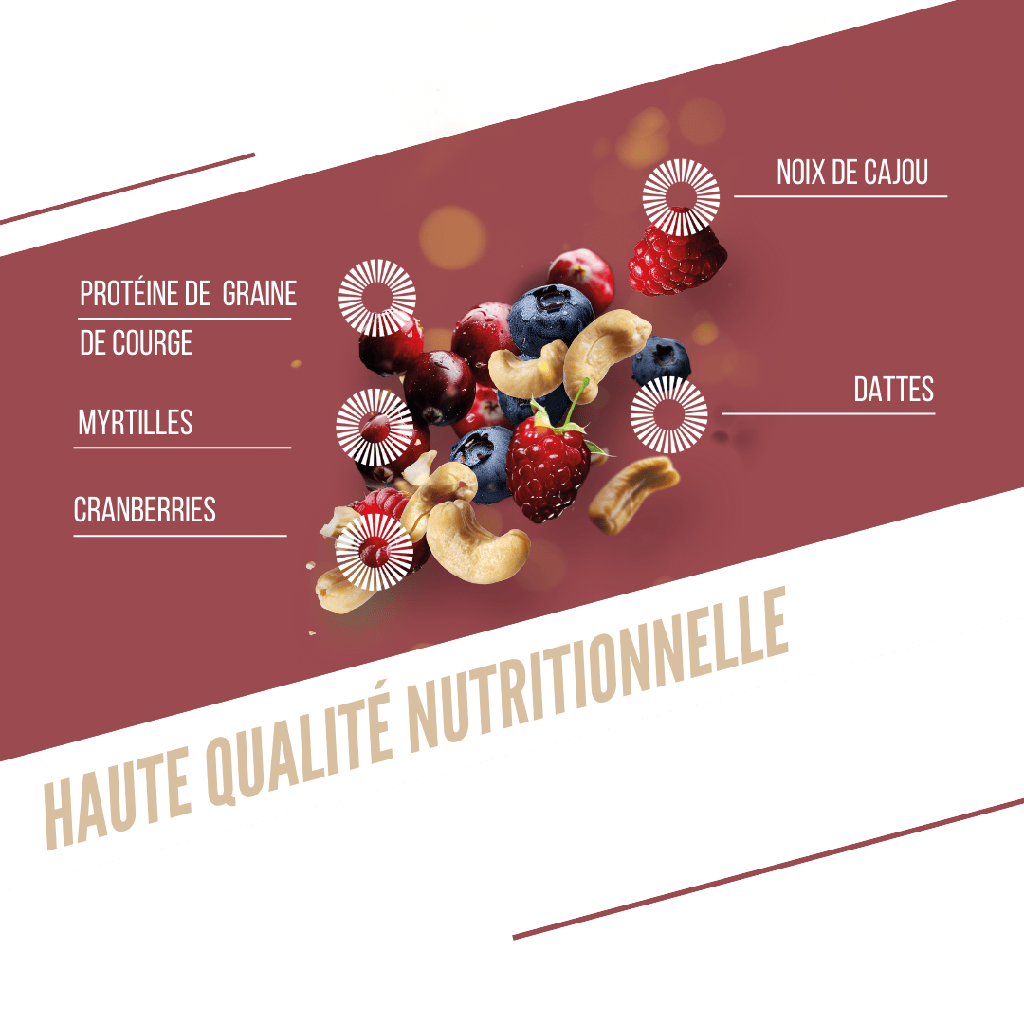 Proteinbar BAOUW BIO EXTRA Røde Frugter/Cashew (50g)