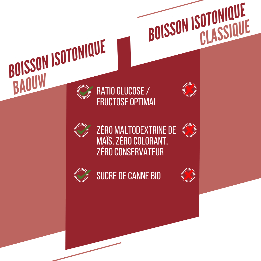 BAOUW ISOTONIC energidrik (45g) Vandmelon/Granatæble