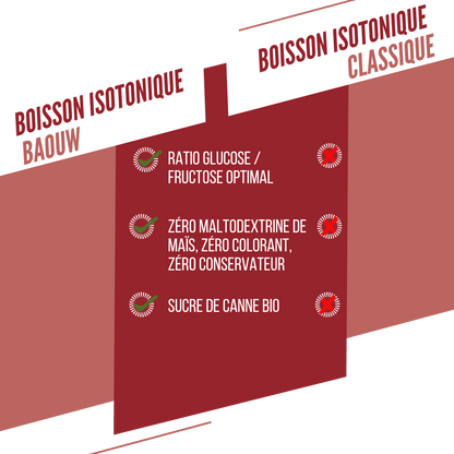 Boisson Énergétique BAOUW ISOTONIC (45g) Pastèque/Grenade
