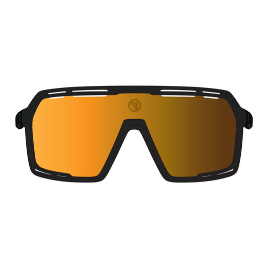 Briller ENDURA PRO SL Sort