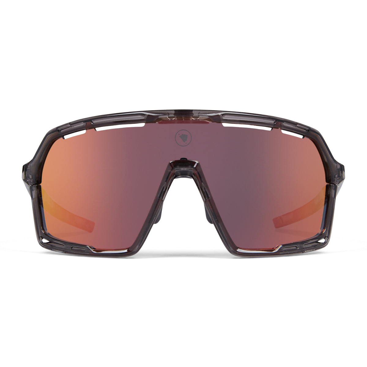 ENDURA PRO SL Glasses Grey