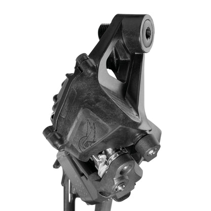 Schimbător Spate 13V CAMPAGNOLO RECORD WRL