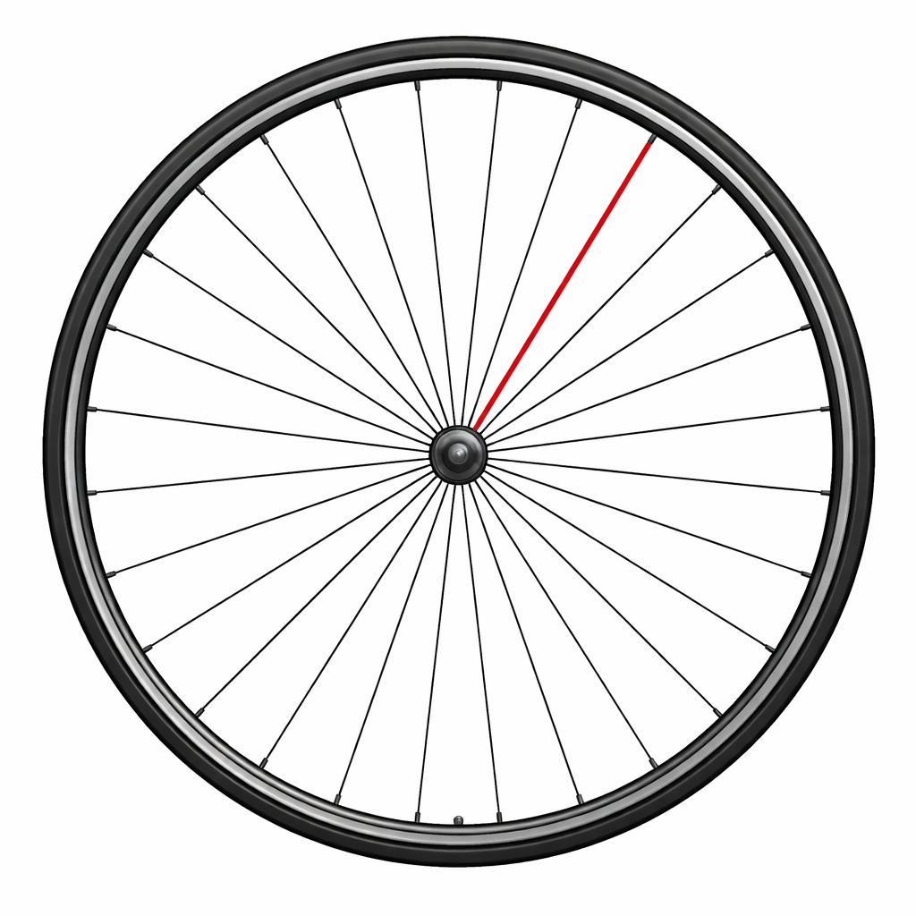 CAMPAGNOLO SHAMAL C17 Front Spoke (x1)