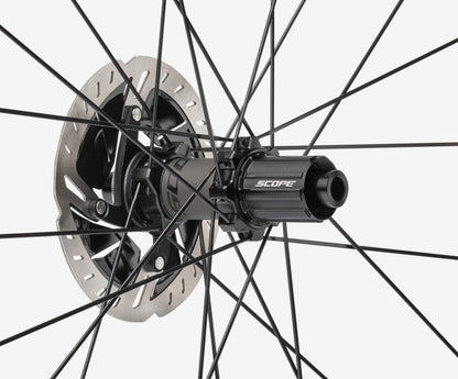 Pesto Sport Series