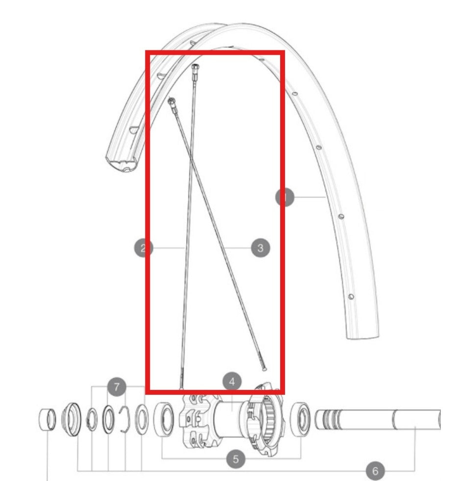 Kit 12 Rear Spokes MAVIC CROSSMAX LIGHT 29'' 294mm