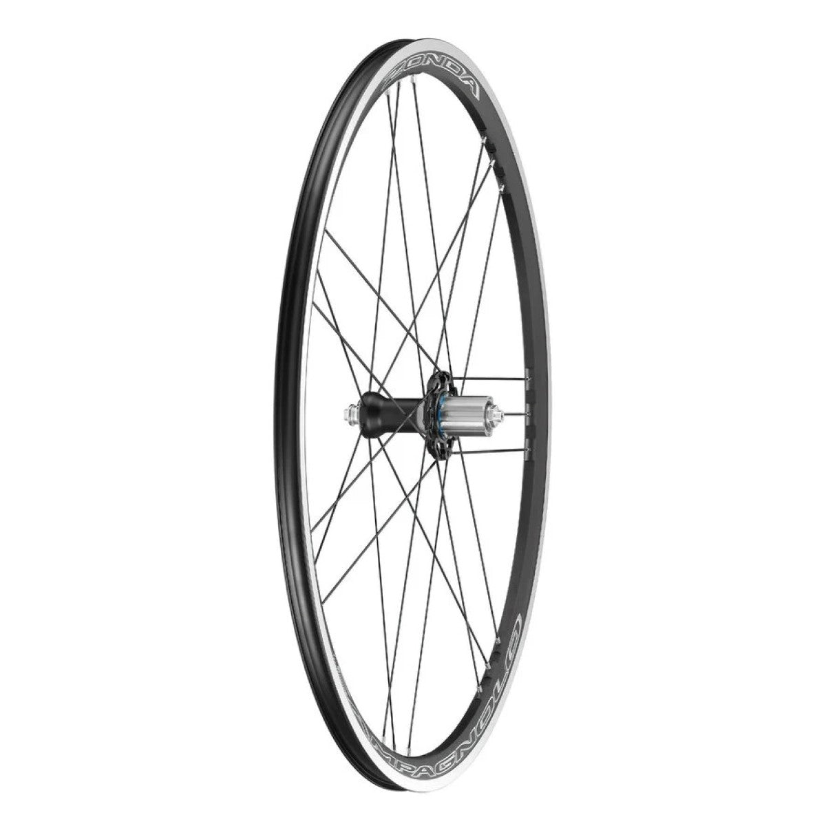 Baghjul CAMPAGNOLO ZONDA