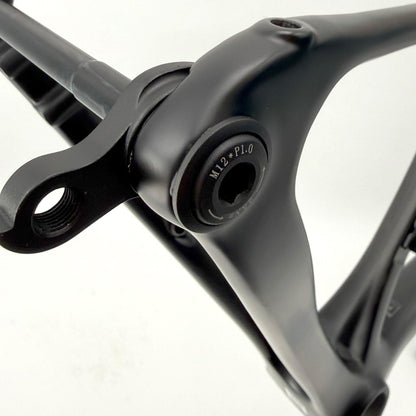 ZEEN SUPERLITE Matt Carbon Frame Kit