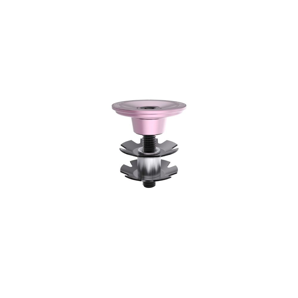 Styrstamslock TITLE Rosa