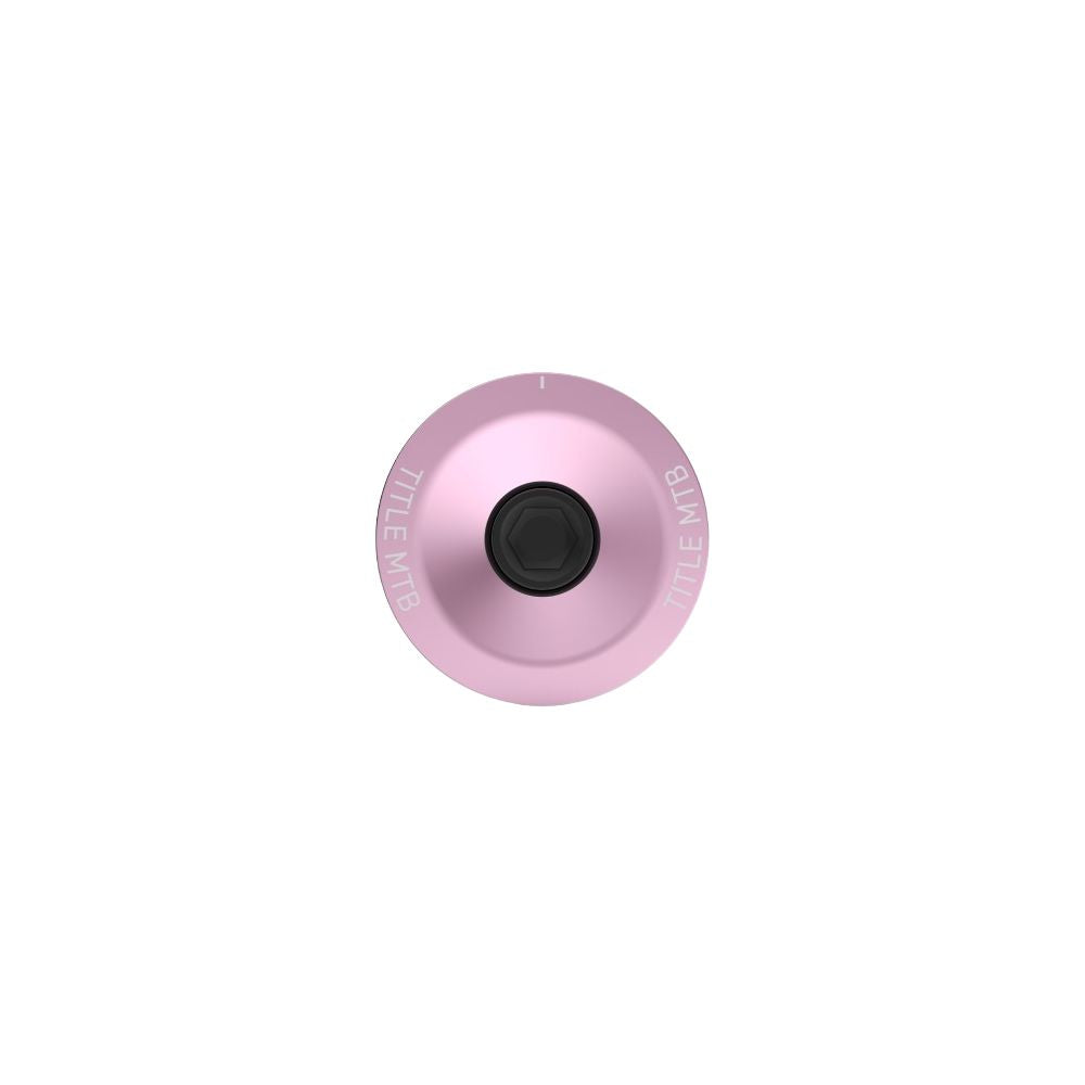 Styrstamslock TITLE Rosa