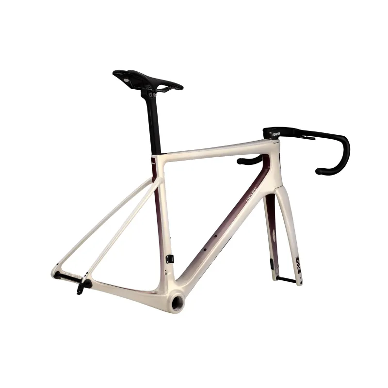 ENVE MELEE Beige Frame Kit