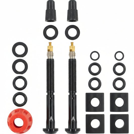 Tubeless ventielen SRAM QUARQ TyreWiz 2.0