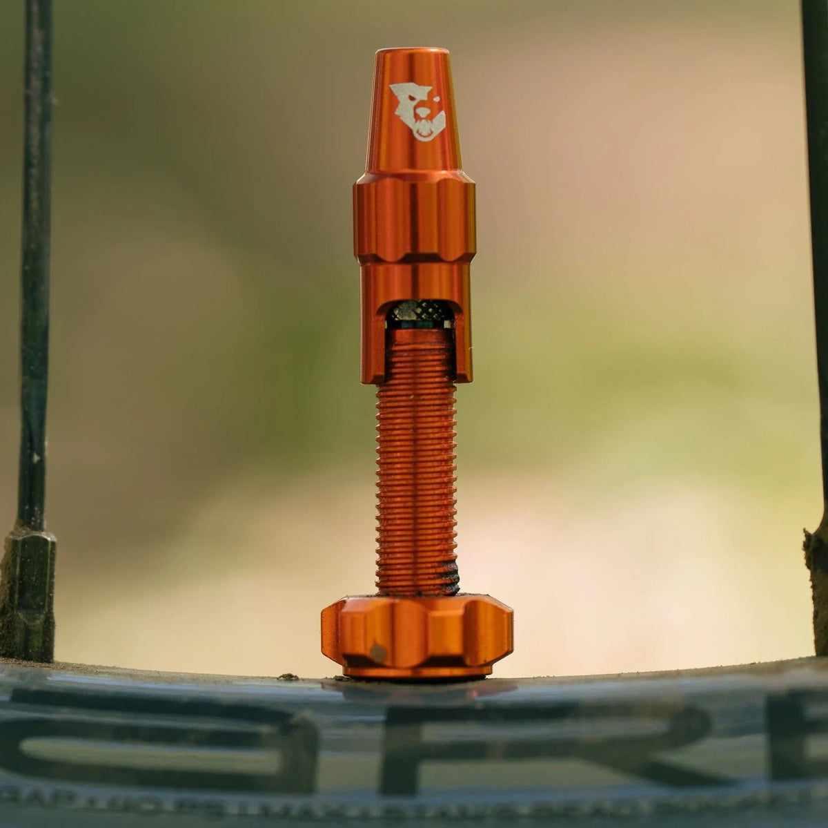 Sæt med 2 Tubeless-ventiler WOLF TOOTH CLIK VALVE Orange