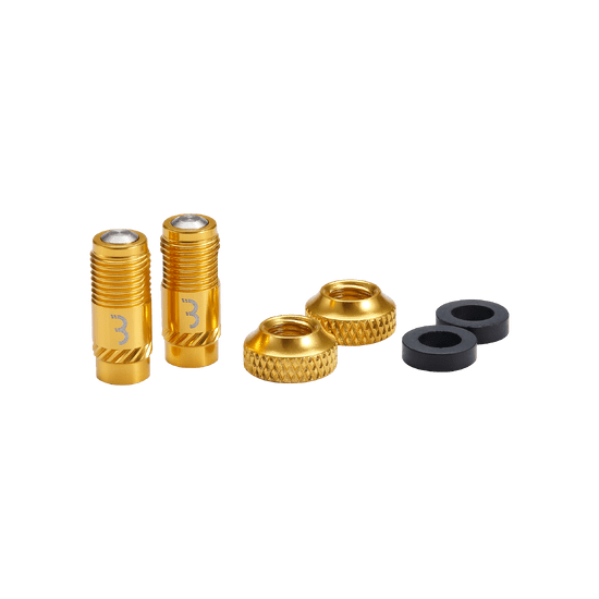 BBB CORE CAP Valve End Caps Gold (x2)