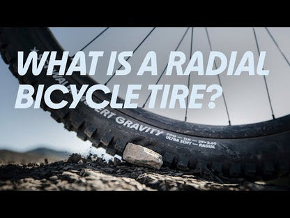 Ελαστικό SCHWALBE ALBERT 29x2.50 TRAIL PRO ADDIX SOFT RADIAL Tubeless Ready Μαλακό