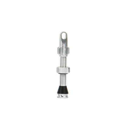 Βαλβίδα Tubeless HOPE 40mm αποσπώμενος πυρήνας Ασημί